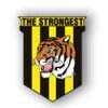 escudo_strongest