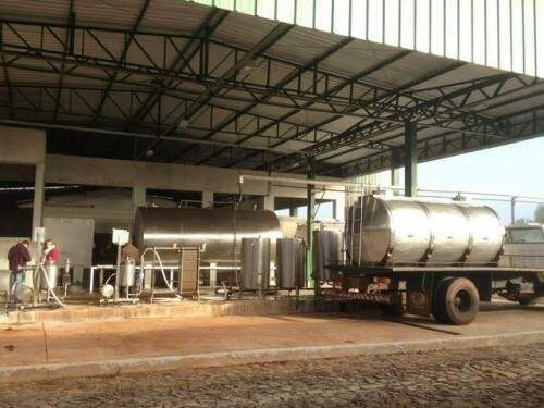 Empresa utilizava leite cru rejeitado pelas indústrias para fabricar queijo (Foto: Marjuliê Martini/Divulgação)