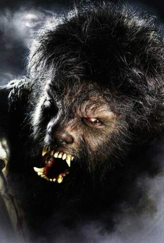 Lenda deste monstro é muito antiga. Em 5 a.c, o historiador Heródoto já falava de uma tribo em que homens  se transformavam em lobos. Foto: Banco de Dados/ O Sul