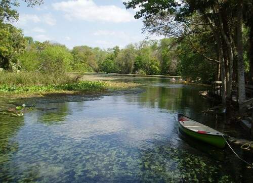 A mulher nadava no rio Wekiva. (Foto: Reprodução)