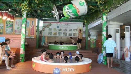 Depois do saquê, licor de ameixa é uma das bebidas mais consumidas no Japão e também integra o "cardápio" dos banhos do Yunessun Spa Resort. (Foto: Reprodução)