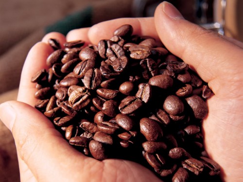 Antioxidantes do café possuem diversos benefícios. Foto: Reprodução