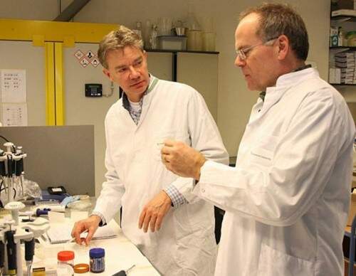 Professores estão confiantes do sucesso da carne artificial. (Foto: Reprodução)