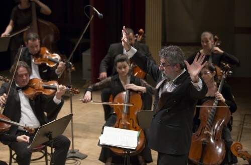 Violonista estará acompanhado pela Orquestra de Câmara Theatro São Pedro. (foto: Rafael Wilhelm/divulgação)