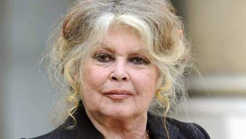 Brigitte Bardot: entre os valores positivos recordações dos amores e a defesa dos animais. (Foto: AFP)