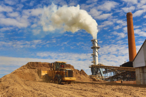 Grupo citou o uso do bagaço da cana-de-açúcar como fonte de energia. (Foto: Reprodução)