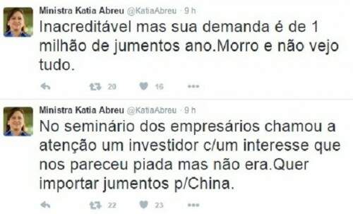 Twitter da ministra Katia Abreu. (Foto: Reprodução)
