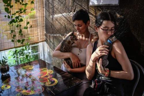 As duas têm um café na zona leste da capital do país, San José. (Foto: Reprodução)