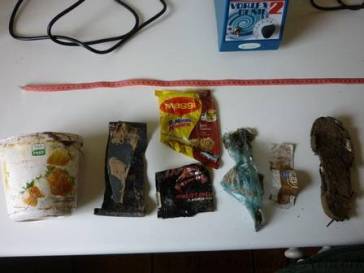 Embalagens encontradas dentro da baleia. (Foto: Reprodução)