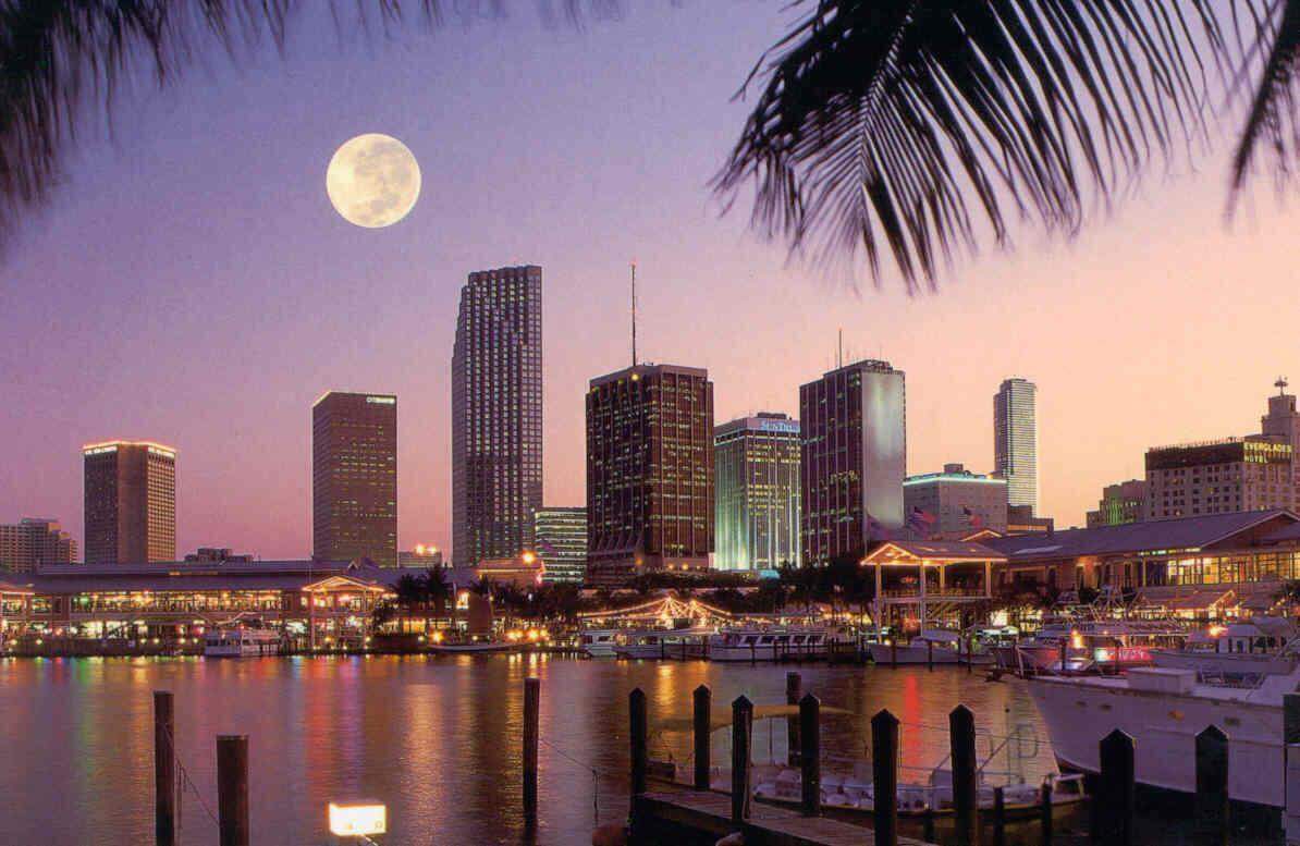 Best Hotel To Stay In On Miami Beach Best Hotel To Stay In On Miami Beach