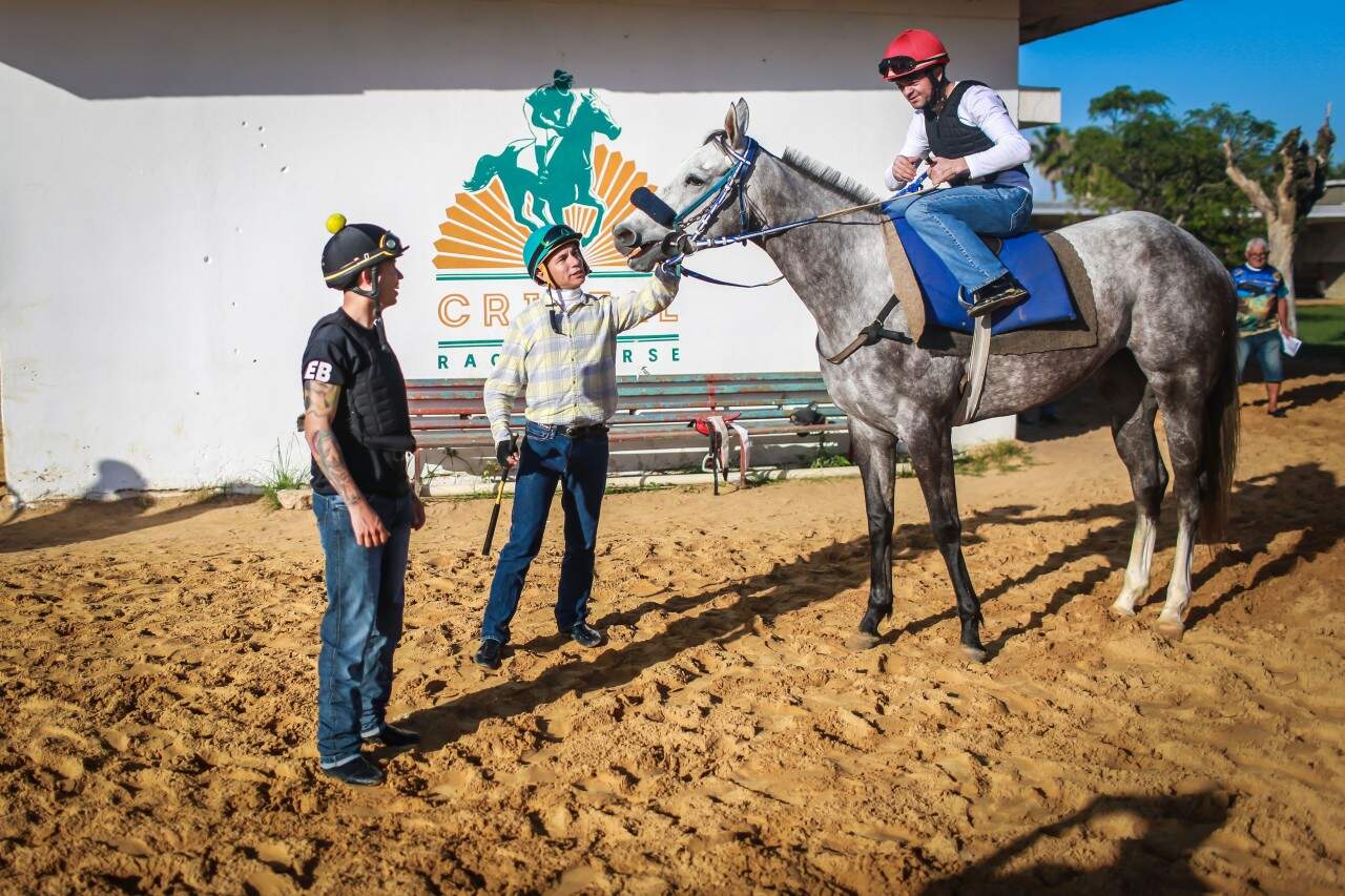 Turfe é uma paixão para quem acompanha as corridas dos animais e o esforço dos jóqueis. (Foto: Jefferson Bernardes/Agência Preview)