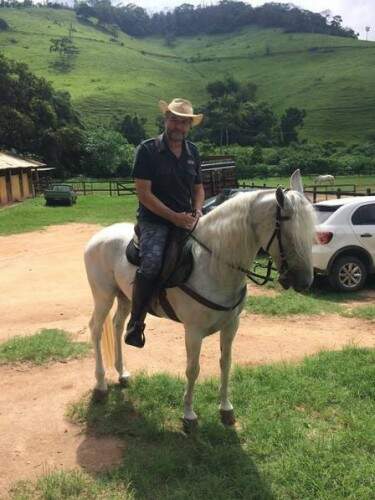 O cavalo custava entre 15 e 20 mil reais, e era dono de prêmios. (Foto: Reprodução)