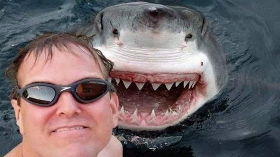 Fotos de turistas em função de selfies mata mais do que ataques de tubarões. (Foto: Reprodução)