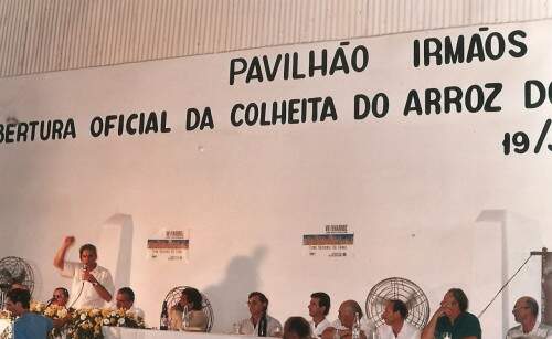 Colheita do Arroz 2 2016