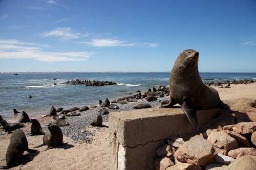 Uruguai reserva diversas belezas naturais. (Foto: Uruguay Natural/Divulgação)