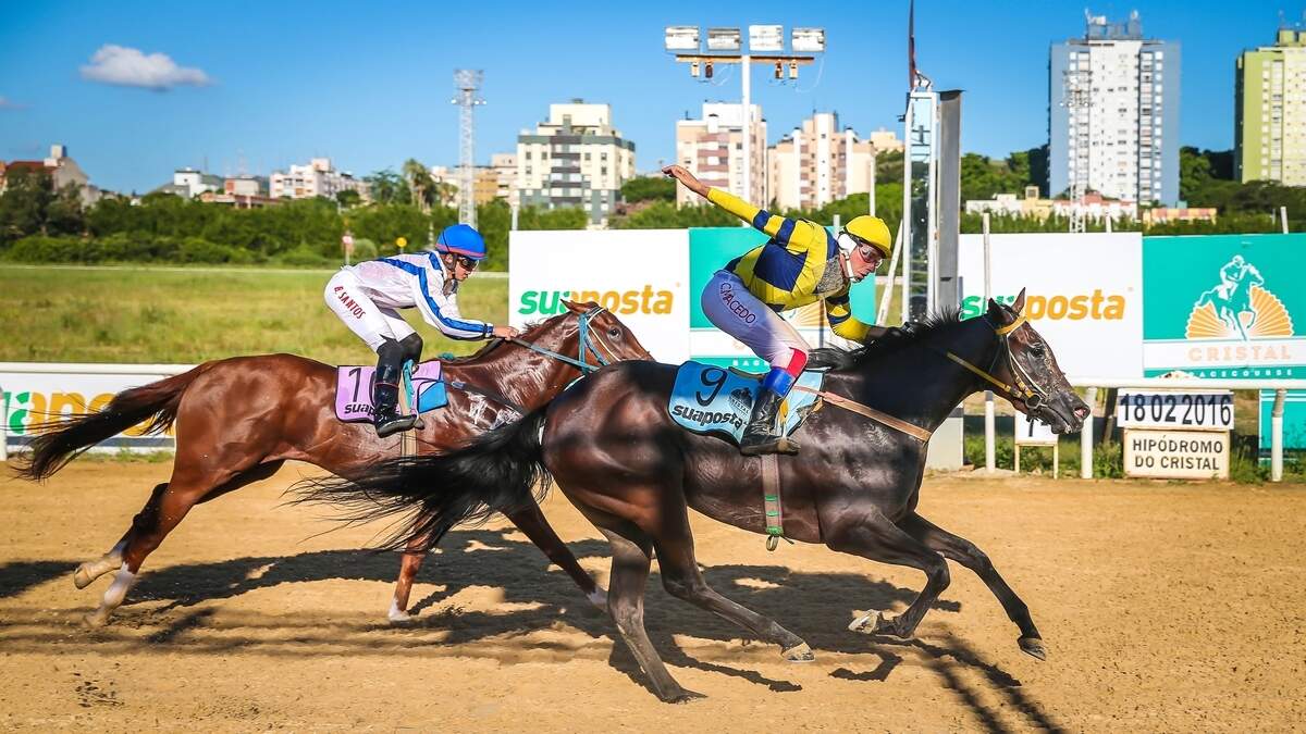 Get Runner (foto), com a condução de C. Macedo, faturou o Grande Prêmio Estupenda. (Foto: Jefferson Bernardes/Agência Preview)