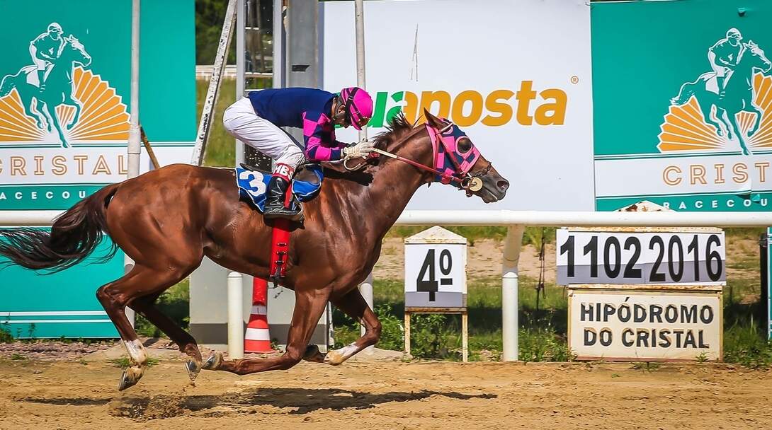Khuraim, com a condução de M. B. Souza, ganhou o páreo de 1.600m para produtos de três anos e mais de idade com o tempo de 1m46s. (Foto: Jefferson Bernardes/Agência Preview)