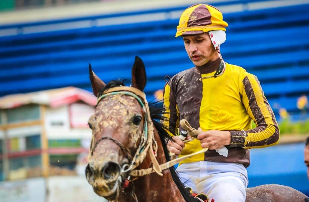 Pokey Joe (foto), com a condução de L. G. Nobre, faturou o páreo de 1.200m para produtos de 3 anos s/mais de uma vitória com o tempo de 1m17s. (Foto: Jefferson Bernardes/Agência Preview)