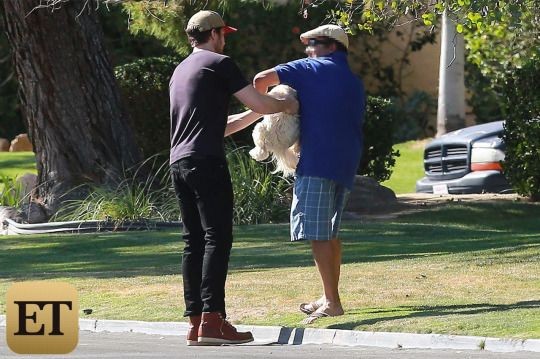 o galã foi flagrado salvando um cachorro em uma rua na Califórnia. (foto: reprodfução)