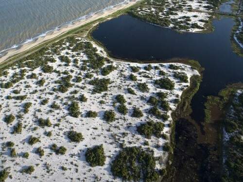 Parque Nacional da Restinga de Jurubatiba, em Quissamã (Foto: Reprodução)