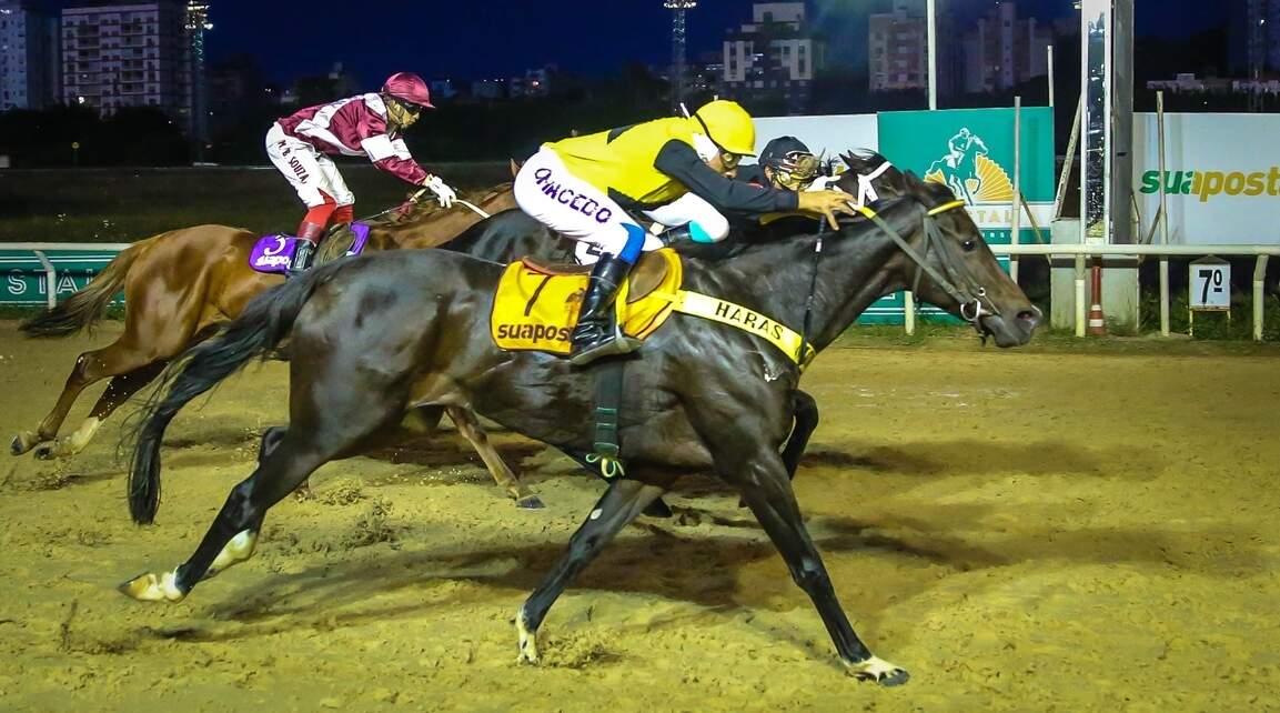 Presidente Vicente Marques Santiago ficou com Flight At Night. (Foto: Jefferson Bernardes/Agência Preview)