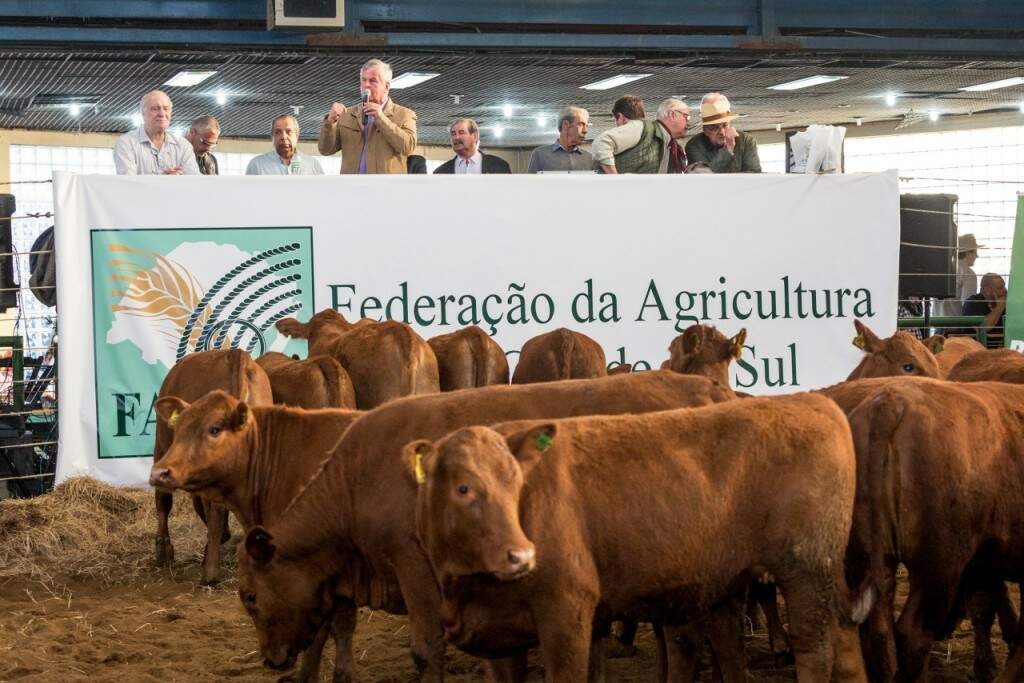 Foto: Gabriel Oliveira.