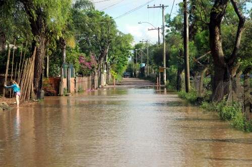 Cheias atingem a região das ilhas em Porto Alegre (Foto: Brayan Martins/PMPA)
