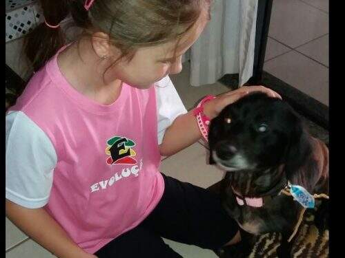 Sherlock está de volta em casa (Foto: Reprodução)