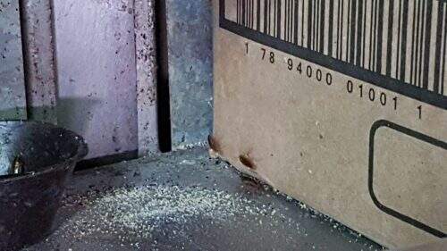 Foi verificada a presença de insetos vivos (Foto: Divulgação/PolÃcia Civil)