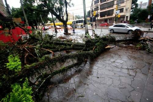 Protásio Alves é uma das vias que registrou queda de árvore (Foto: Jackson Ciceri/O Sul)