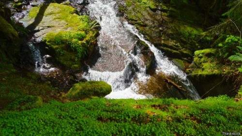 Parque Willamette tem montanhas, cânions, cachoeiras e o lago que desaparece.  (Crédito: Reprodução)