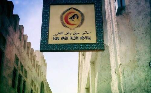 150528124858__83170086_falcon-hospital-sign-976