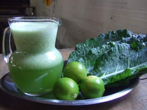 Ingerir verduras verde-escuras, frutas cítricas e legumes variados protege o organismo. Foto: Reprodução