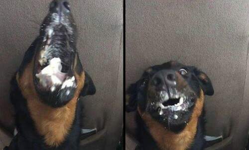 Imagens foram compartilhadas por vários usuários no Twitter e no Facebook. (Foto: Reprodução/Twitter)