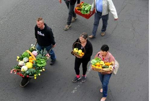 A principal reivindicação dos agricultores  é que os recursos do Fundo Estadual de Apoio aos Pequenos Estabelecimentos Rurais  não sejam colocados no caixa único do Estado (Foto:   Jackson Ciceri/O Sul) 