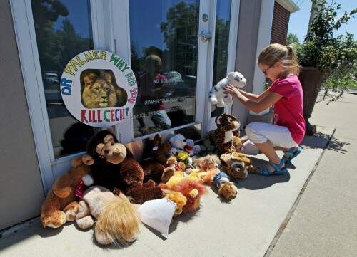 Autumn Fuller, de 10 anos, coloca um bicho de pelúcia na entrada da clínica River Bluff Dental, do dentista Walter James Palmer, acusado de matar o leão Cecil. (foto: Eric Miller/reuters)