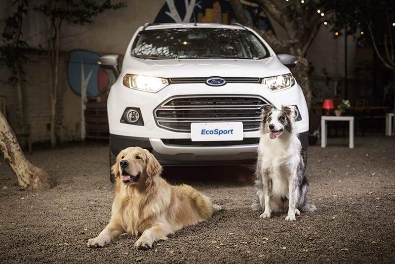 Encontro Ford Ecosport sobre pets