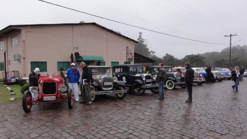 Passeio dos Vinhedos 2015