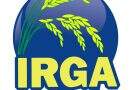 Irga - Expointer