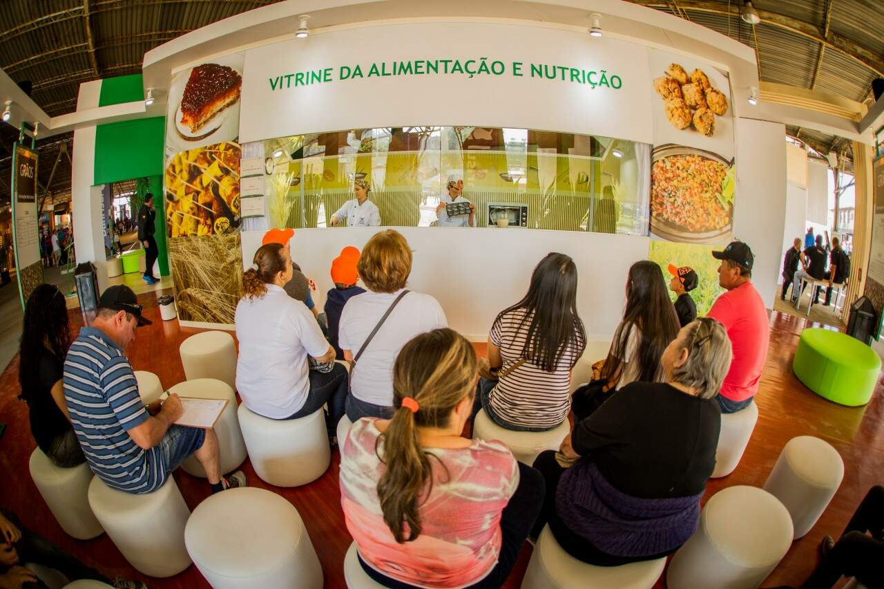 Expointer - Senar