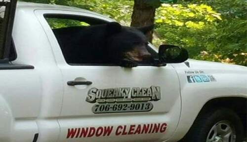 Apesar dos "prejuízos" com a comida, nenhum dano ocorreu com a caminhonete. (Foto: Reprodução)