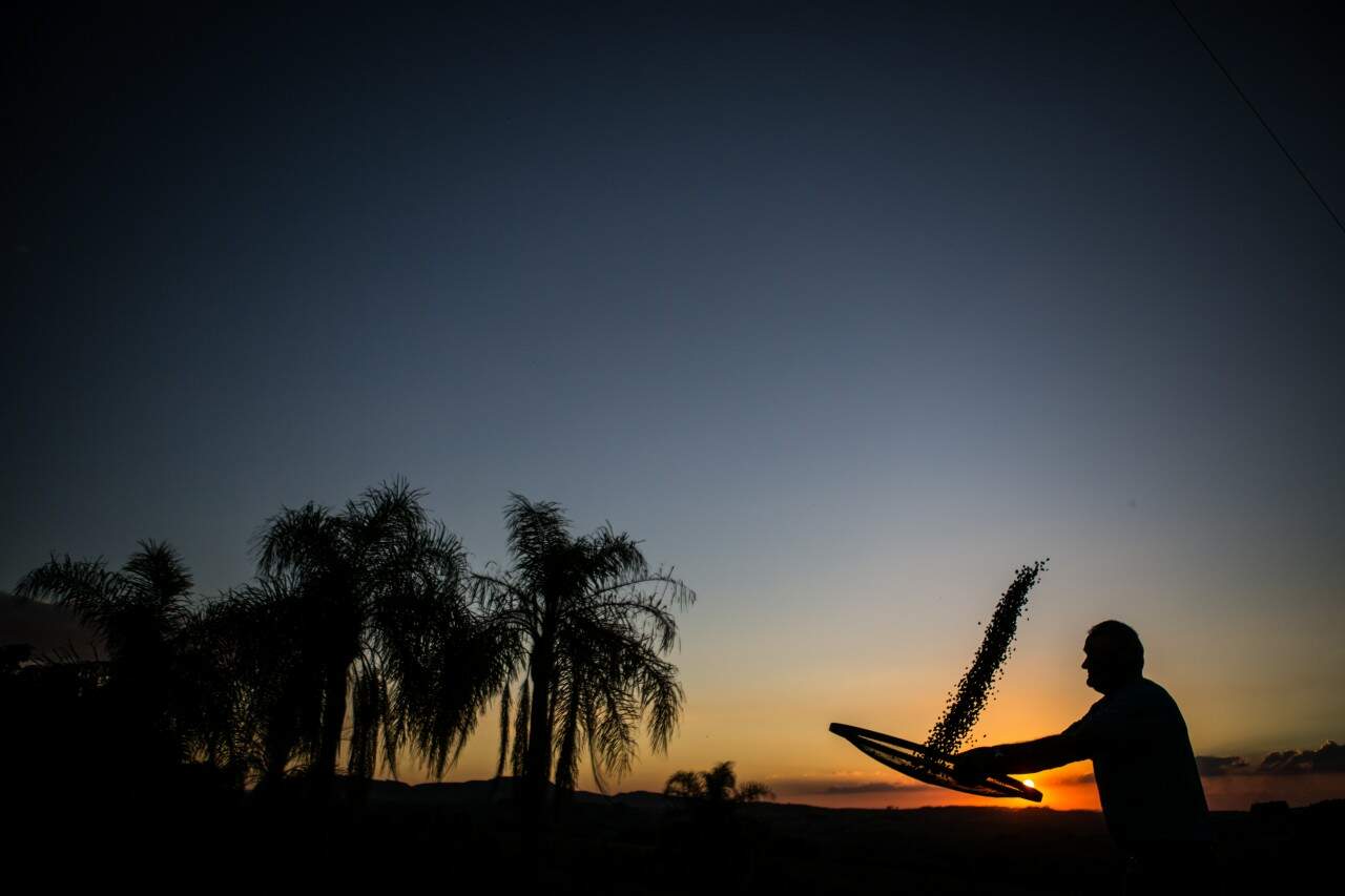 Agricultura Familiar