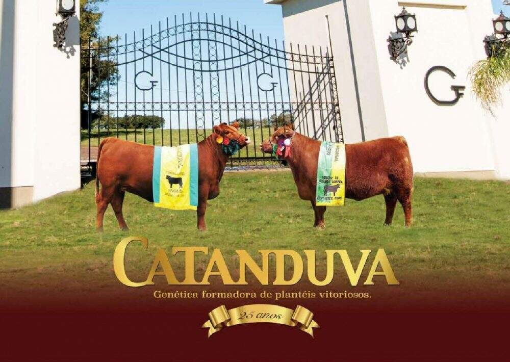 Cabanha Catanduva Expointer
