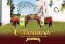 Cabanha Catanduva Expointer