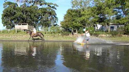 Cavalo puxa surfista (Foto: Reprodução)