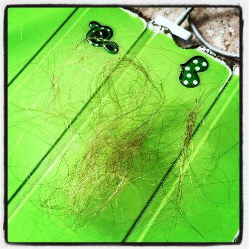 Luana Piovani postou imagem dos tufos de cabelo. (Foto: Reprodução)