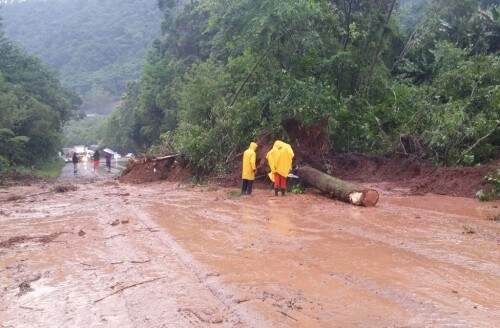 Barreira caiu na ERS-446 (Foto: Ernesto Eichler/Divulgação)