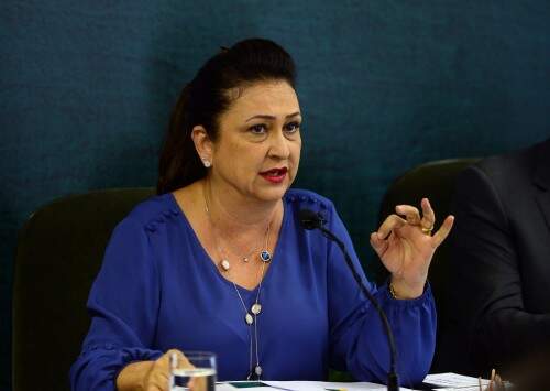 Ministra da Agricultura foi flagrada enviando mensagem de texto menos de 24 horas depois de a direção nacional do PMDB oficializar o desembarque do governo. (foto: Elza Fiuza / Agência Brasil)