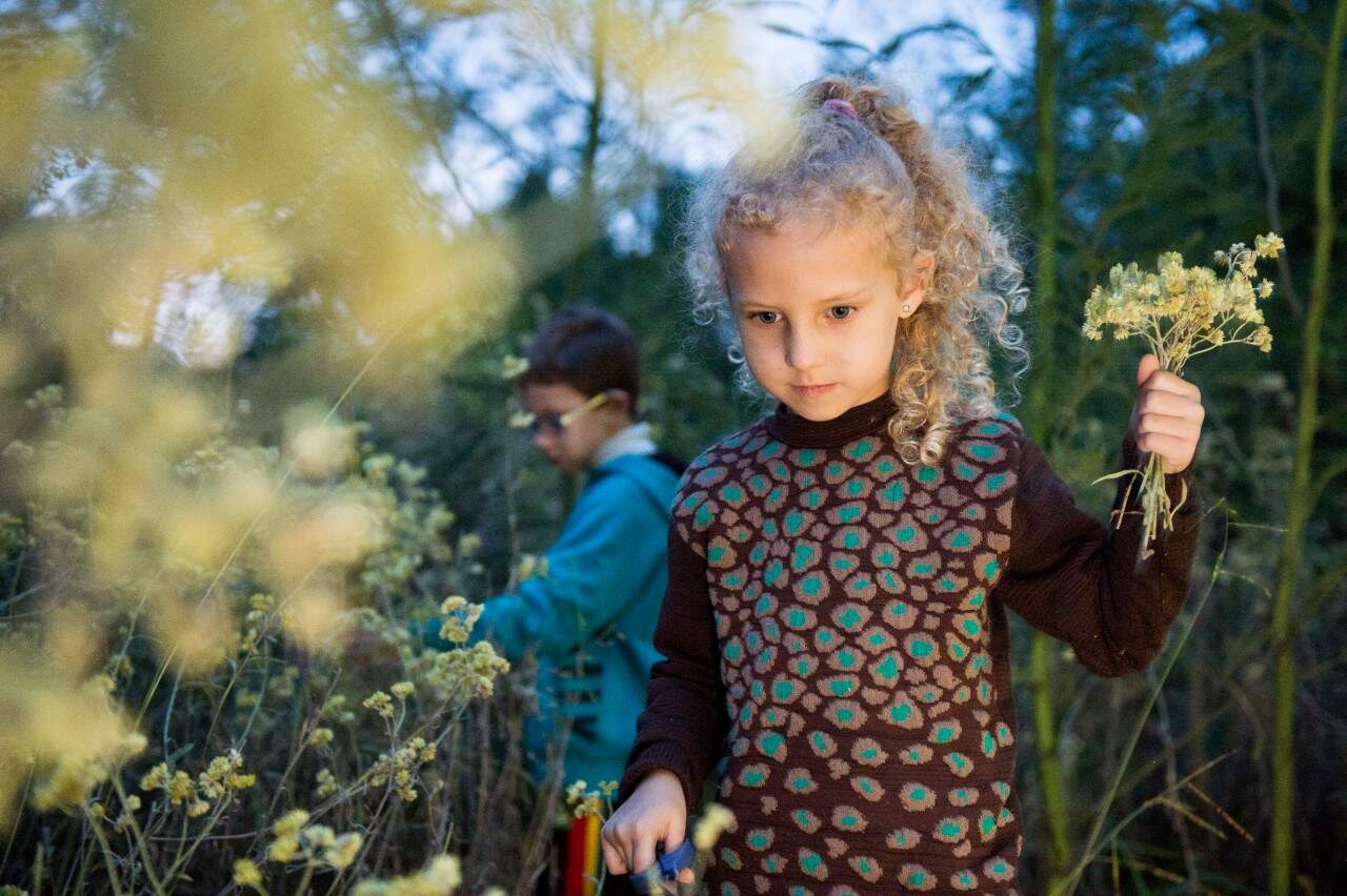 Magia da Páscoa - Nova Petrópolis