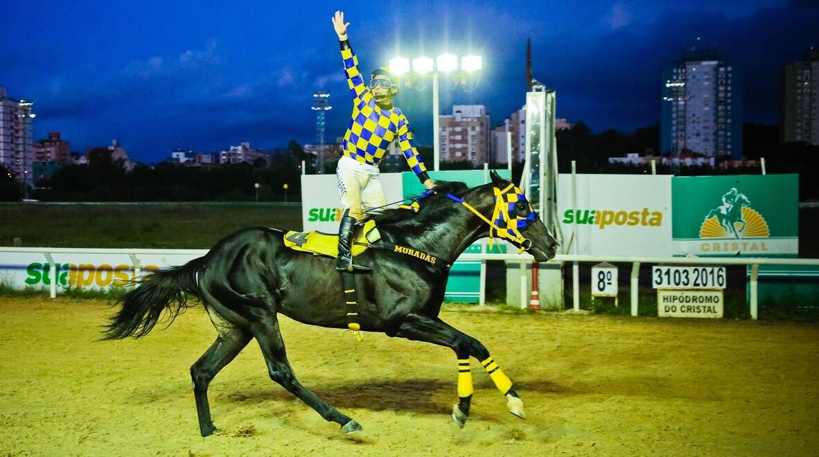 Rei do Sul teve a condução de E. Álvares e ganhou o páreo de 1.600m para produtos de 3 anos em mais idade. (Foto: Marcos Nagelstein/Agência Preview)